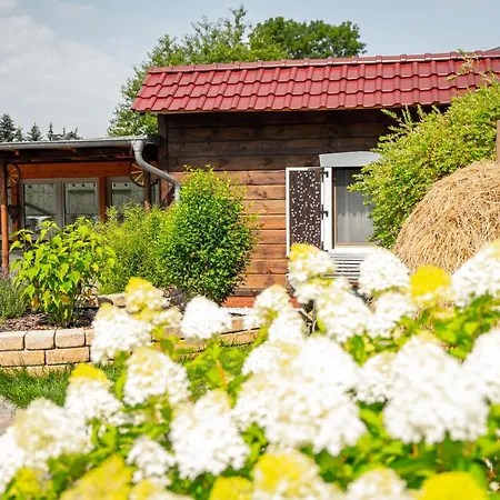 Guest house Spreewald Tannenwinkel Luebbenau