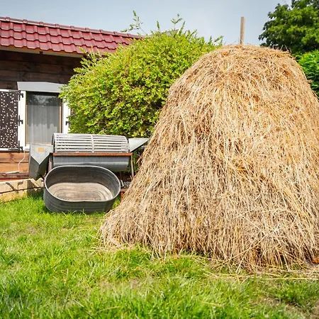Spreewald Tannenwinkel Πανσιόν