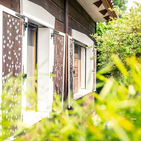 Spreewald Tannenwinkel Πανσιόν Lübbenau