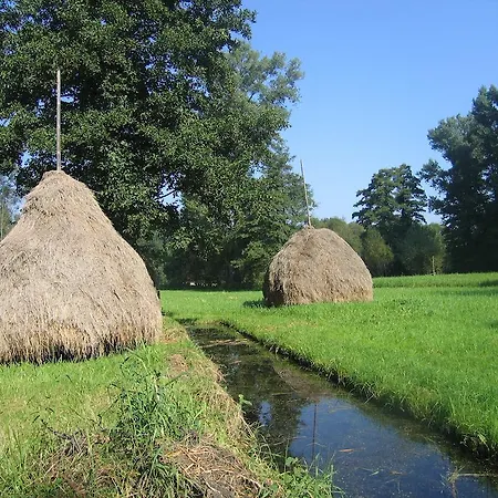 Spreewald Tannenwinkel Luebbenau